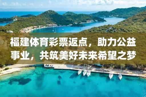 福建体育彩票返点，助力公益事业，共筑美好未来希望之梦