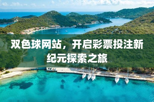 双色球网站，开启彩票投注新纪元探索之旅