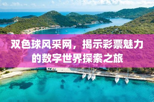 双色球风采网，揭示彩票魅力的数字世界探索之旅