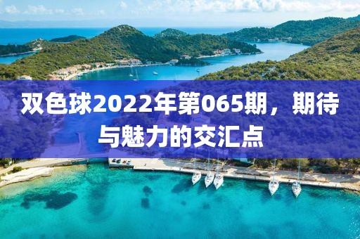 双色球2022年第065期，期待与魅力的交汇点